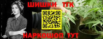 СК Дубна