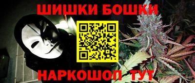 СК Дубна