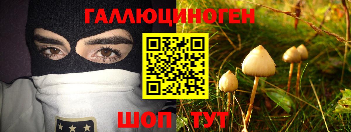 Дедовск  Псилоцибиновые грибы GOLDEN TEACHER  Вход с VPN  Галлюциногенные грибы мицелий 